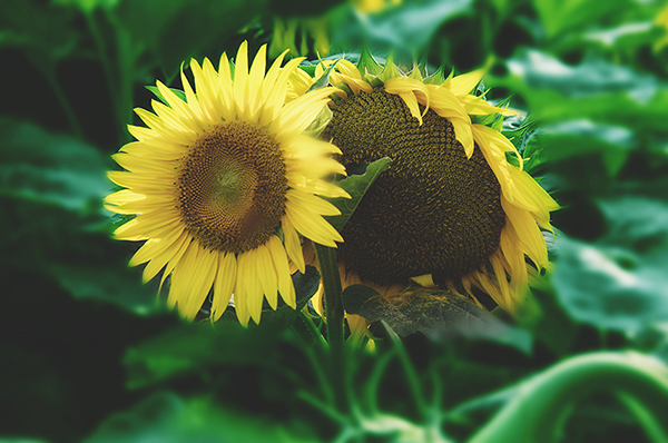 2014��7��27�����տ�a 04112.jpg