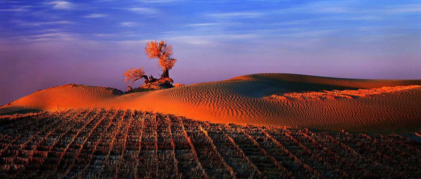 3.�����Ӱ������   ��Į����   ��Ӱ   ������ ���½�}_.jpg