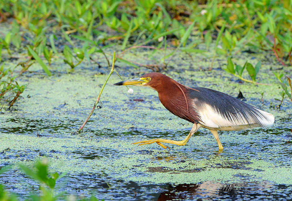 10����  _0041  5.jpg