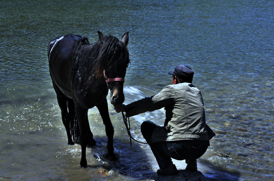 ���İ�����������