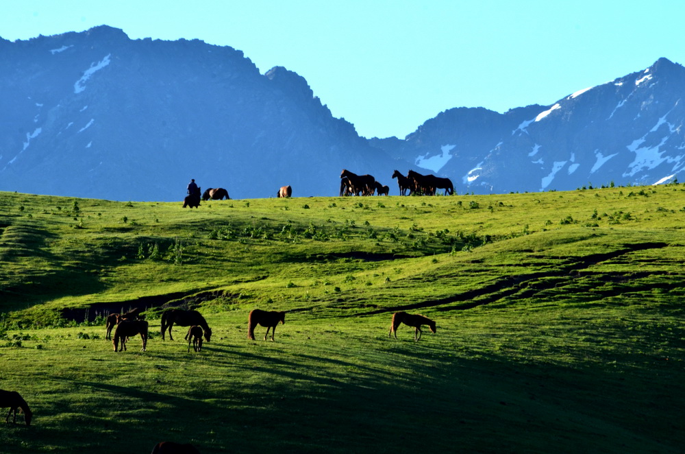 ����    ������