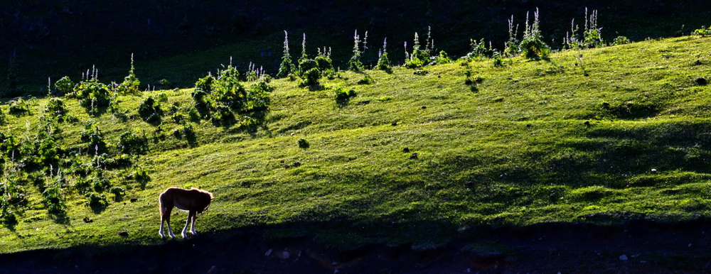 ����     ������