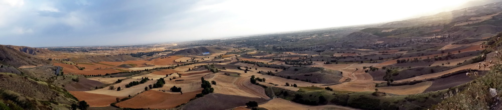 �칫��    ������