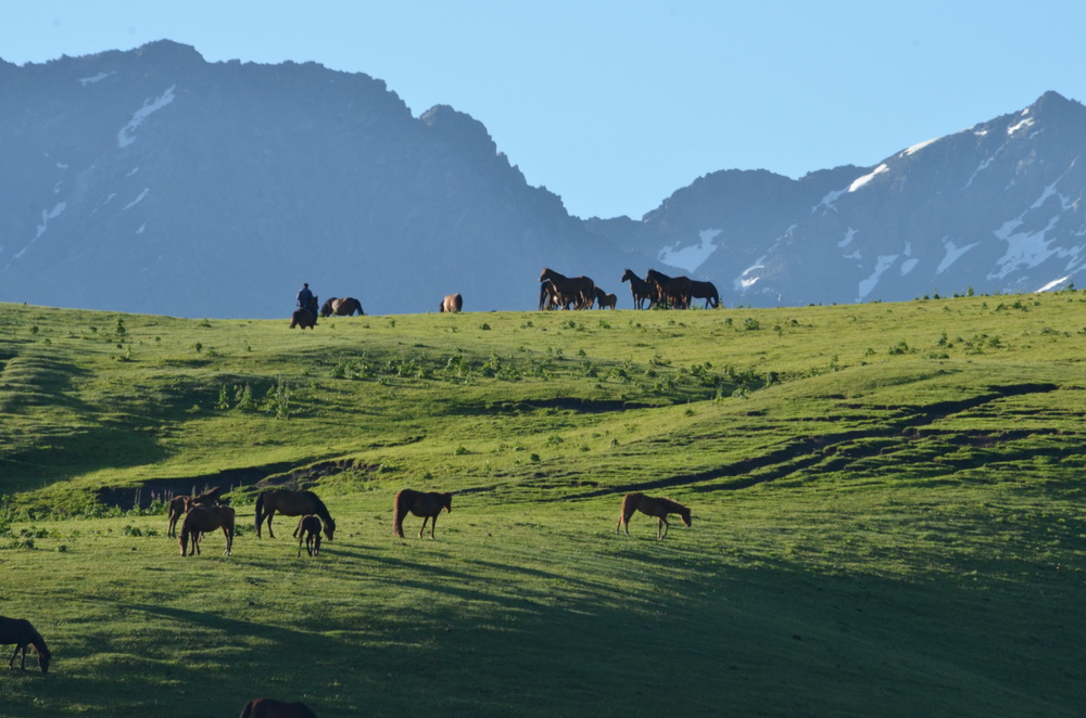 ����   ������