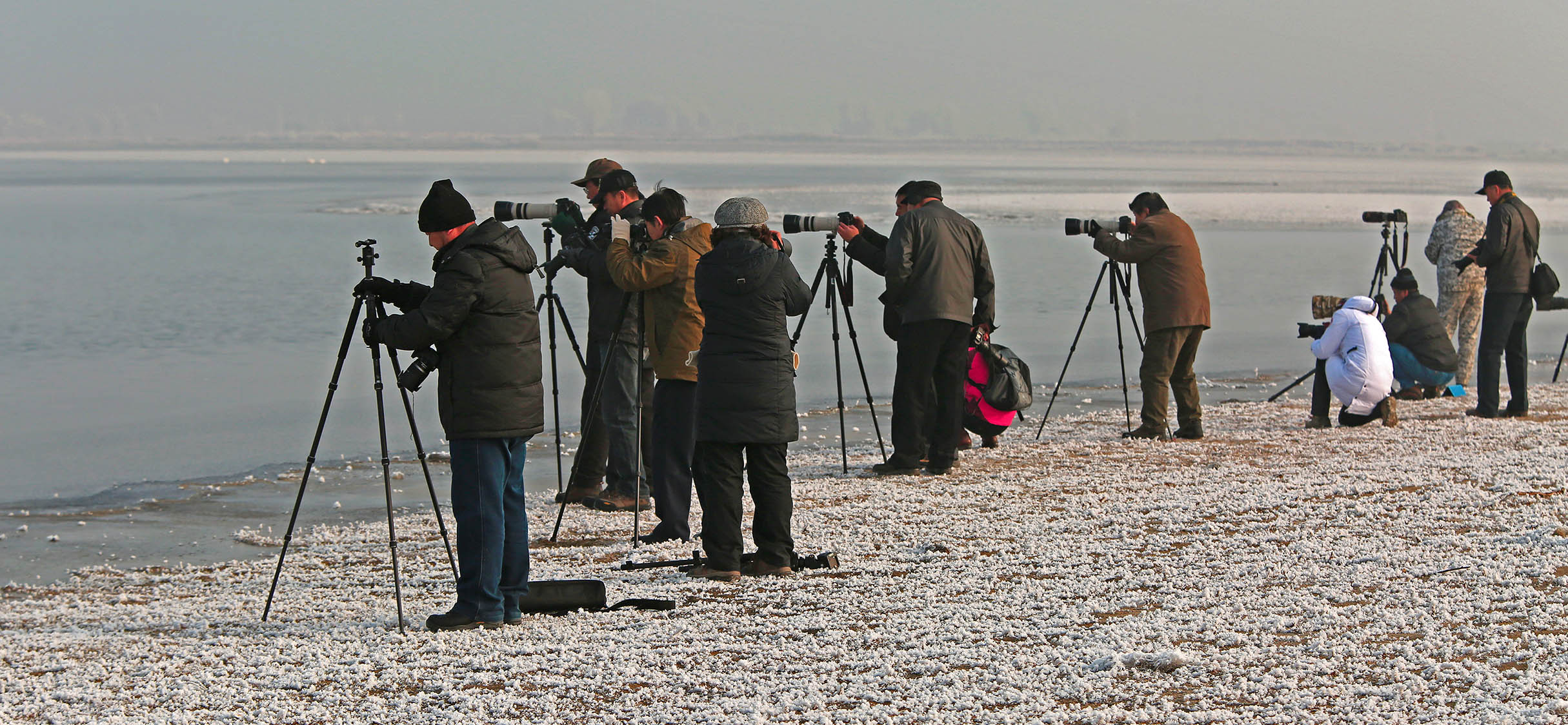 ��η����