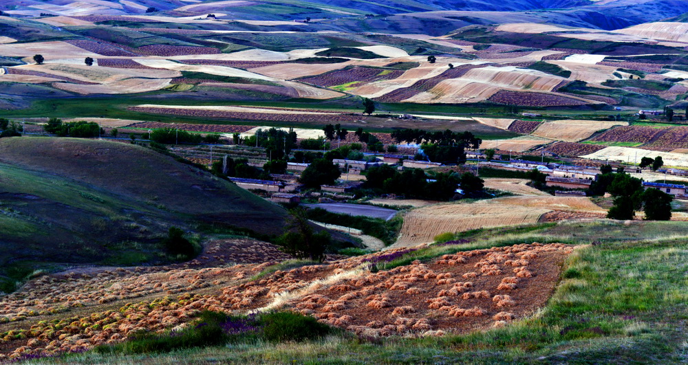 ��ʰ��    ������