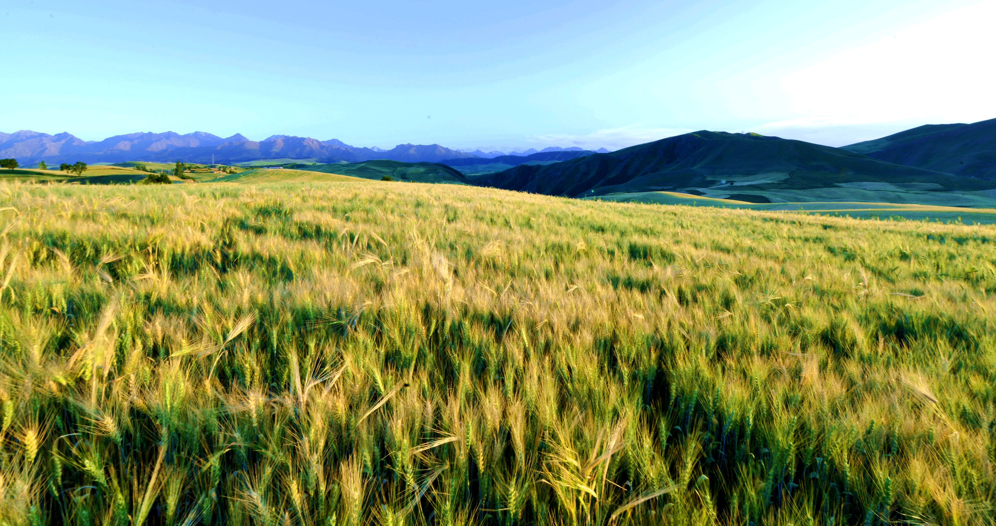 Ϧ������ (2).jpg