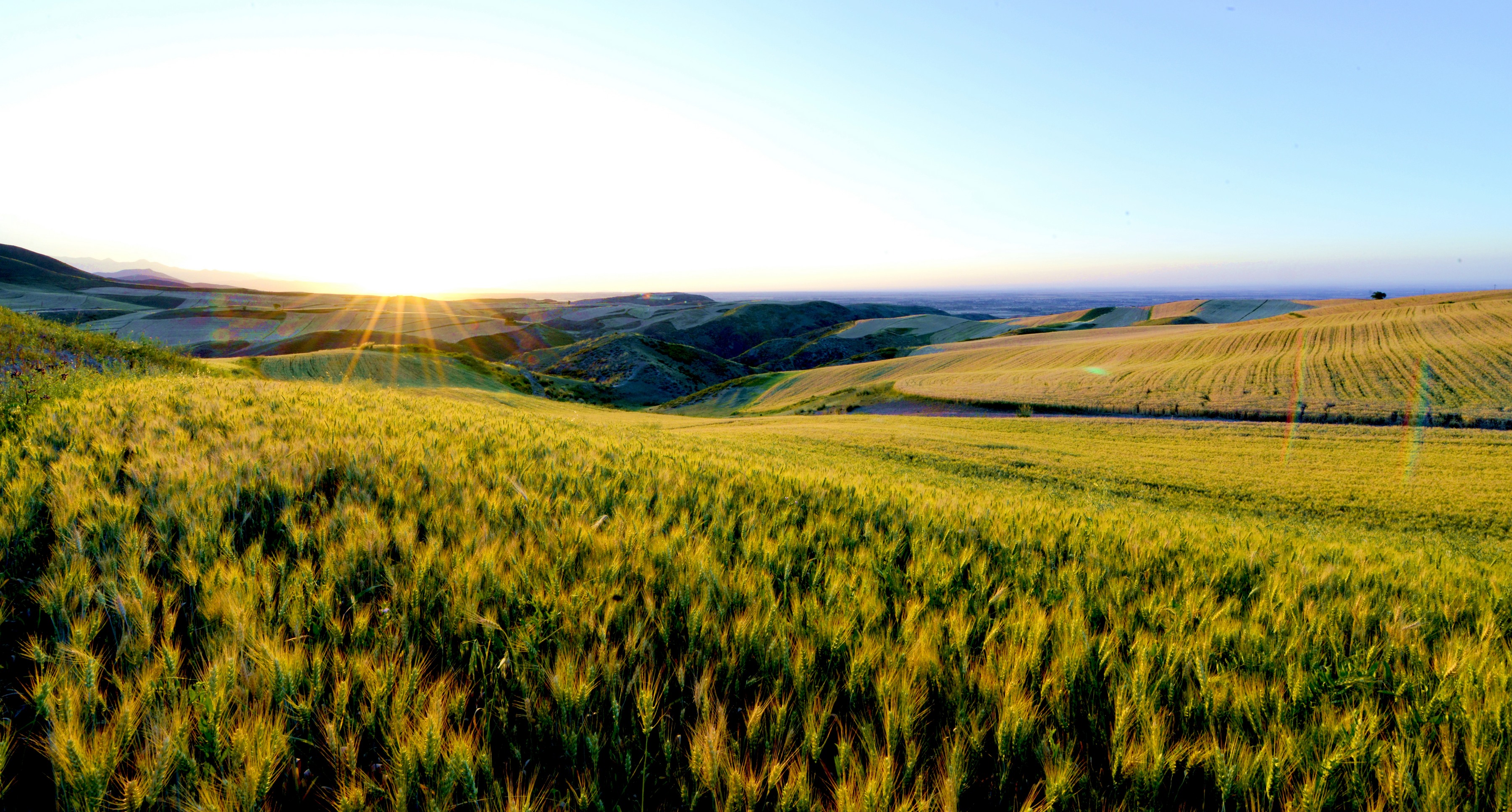 Ϧ������ (3).JPG