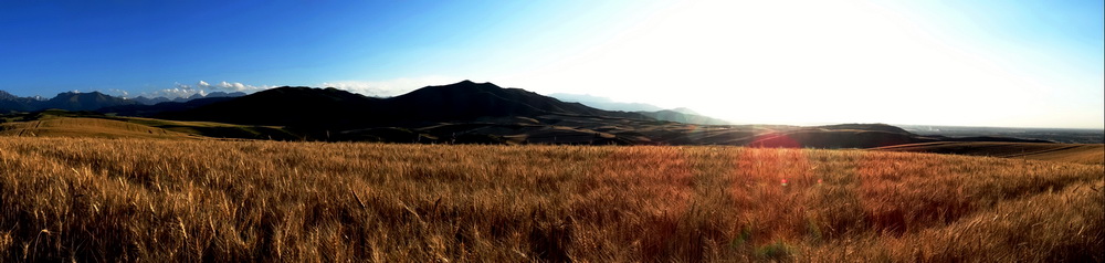 ���ӷ���    ������