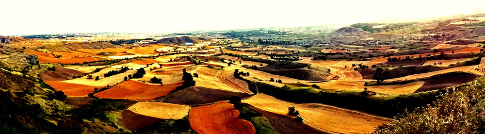 ���    ������