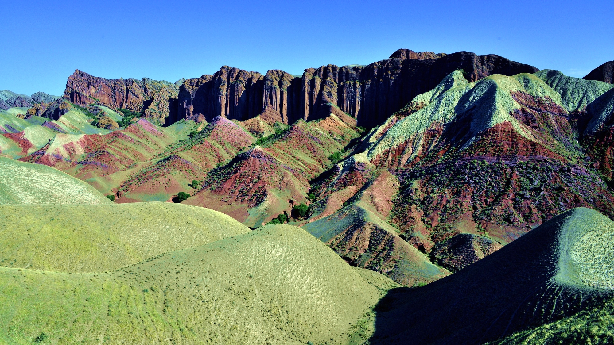 nEO_IMG__DSC7824 - ����.jpg