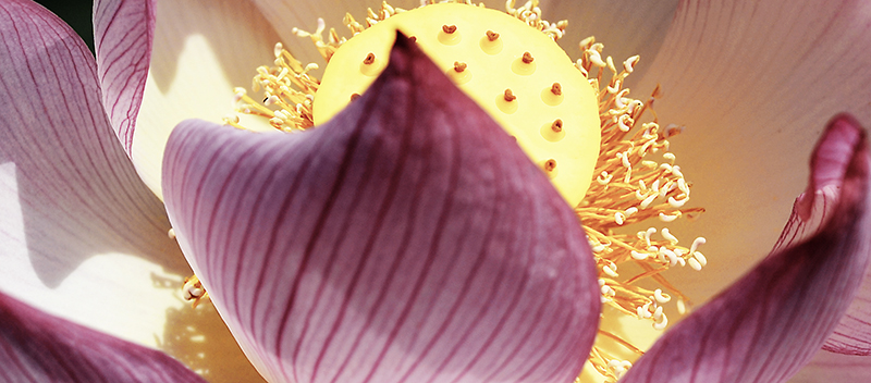 2014��8��9�հ�ɽ��������Ƭq2a a069a1.jpg