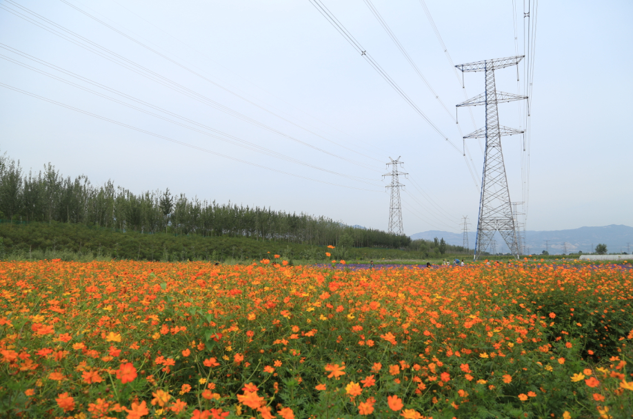 ɽ��̫ԭ�����뻨��ׯ԰