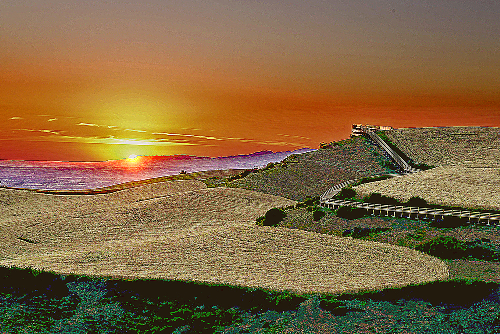 ���   ������