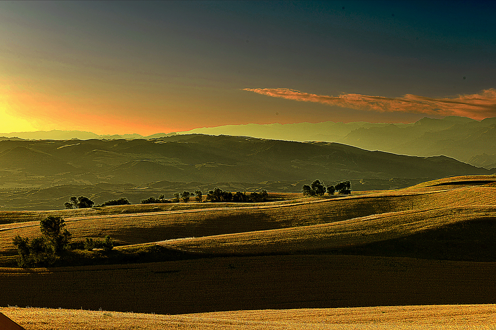 ����      ������