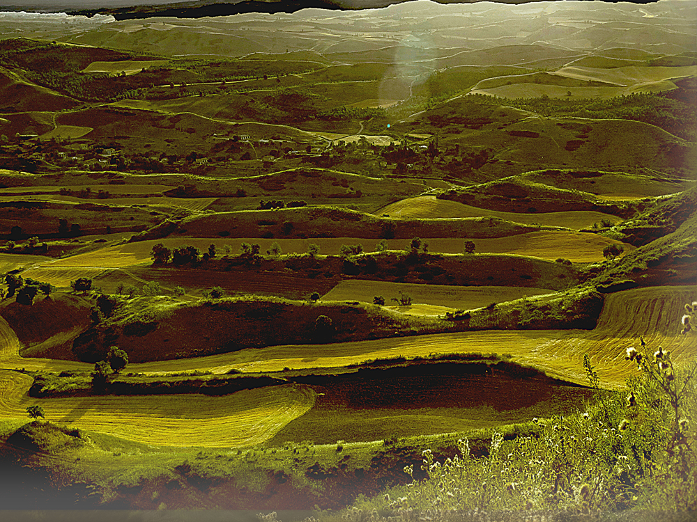 ����     ������