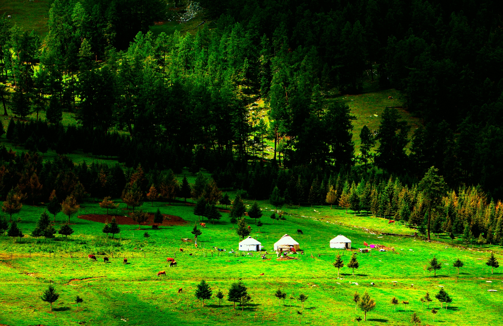 ����Ȼ������