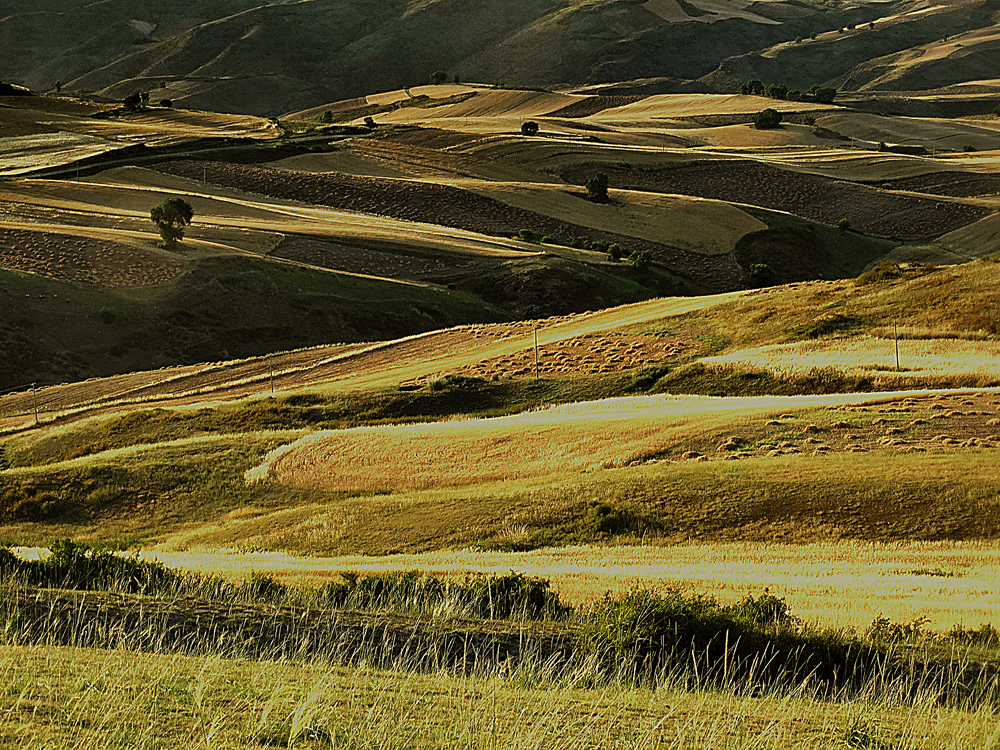 ��   ������