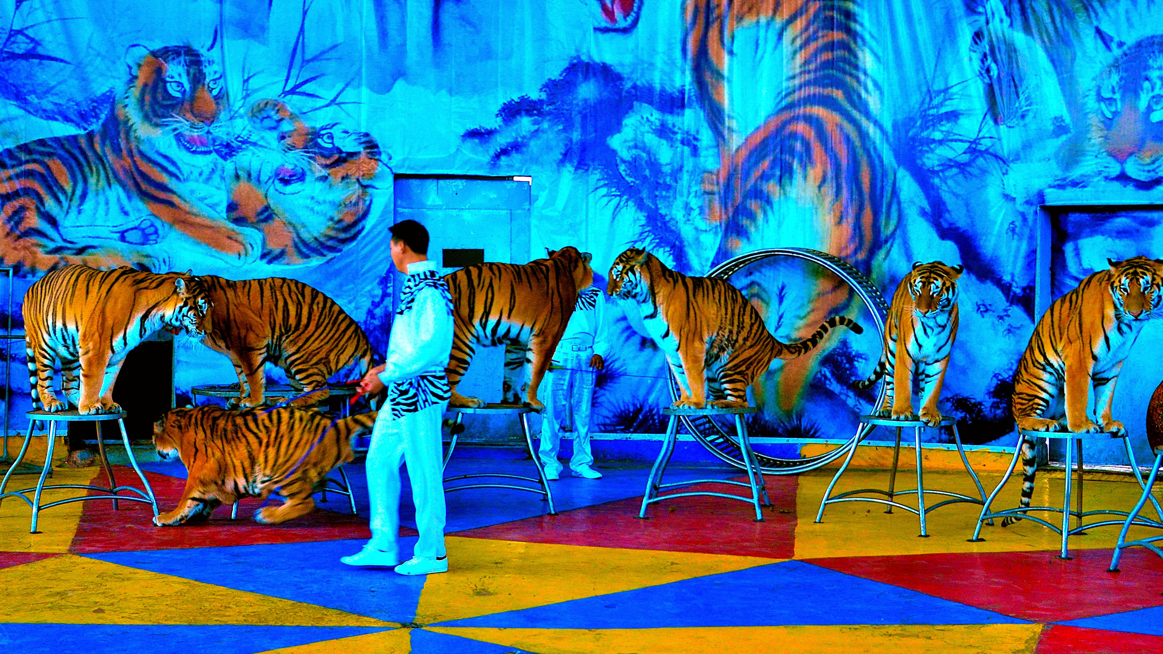 _DSC9202���� - ���� (2).jpg