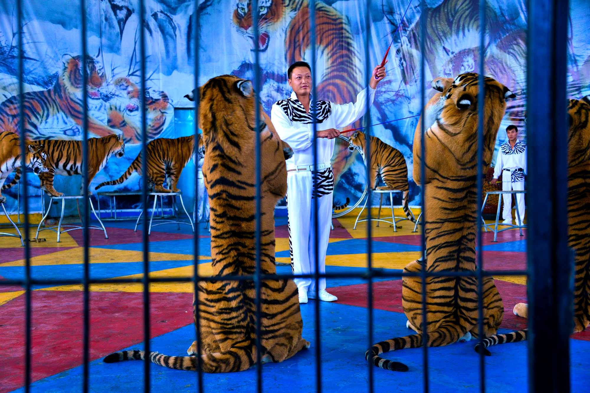 _DSC9210fb - ���� (2).jpg