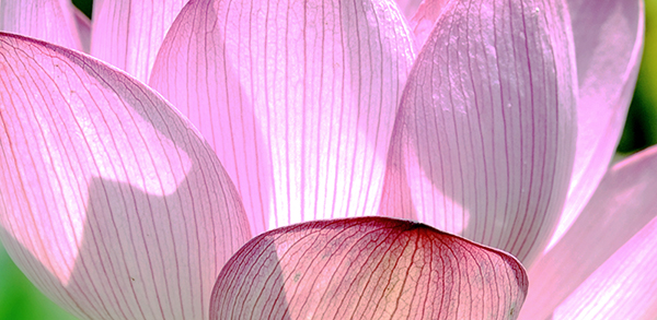 2014��8��9�հ�ɽ��������Ƭq2 aa06012.jpg