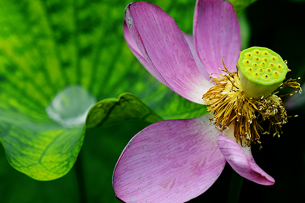 2014��8��9�հ�ɽ��������Ƭq2 a01412.jpg