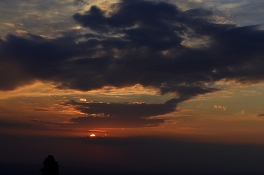 �ղ�����