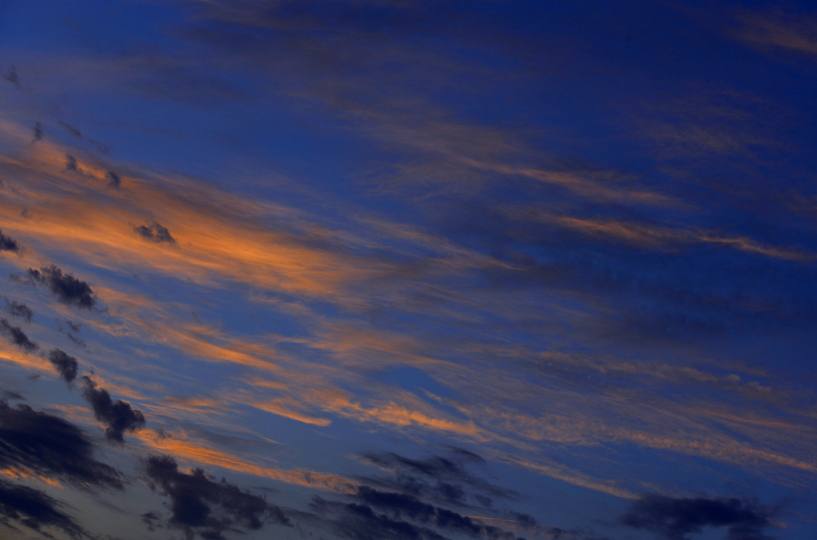 ˮ�����ڵķ��