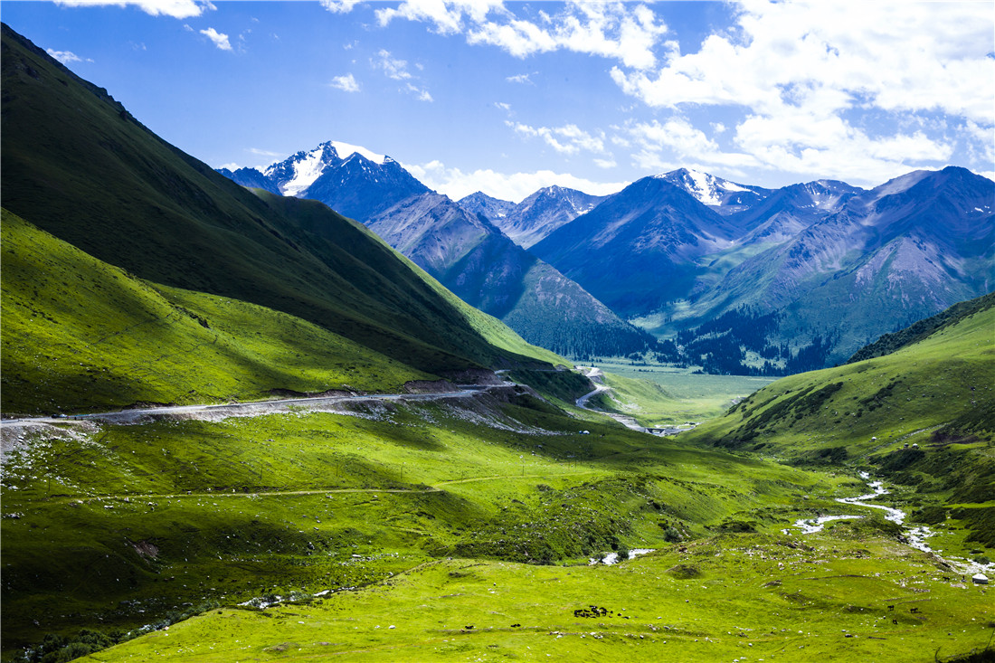 ���� (2).jpg