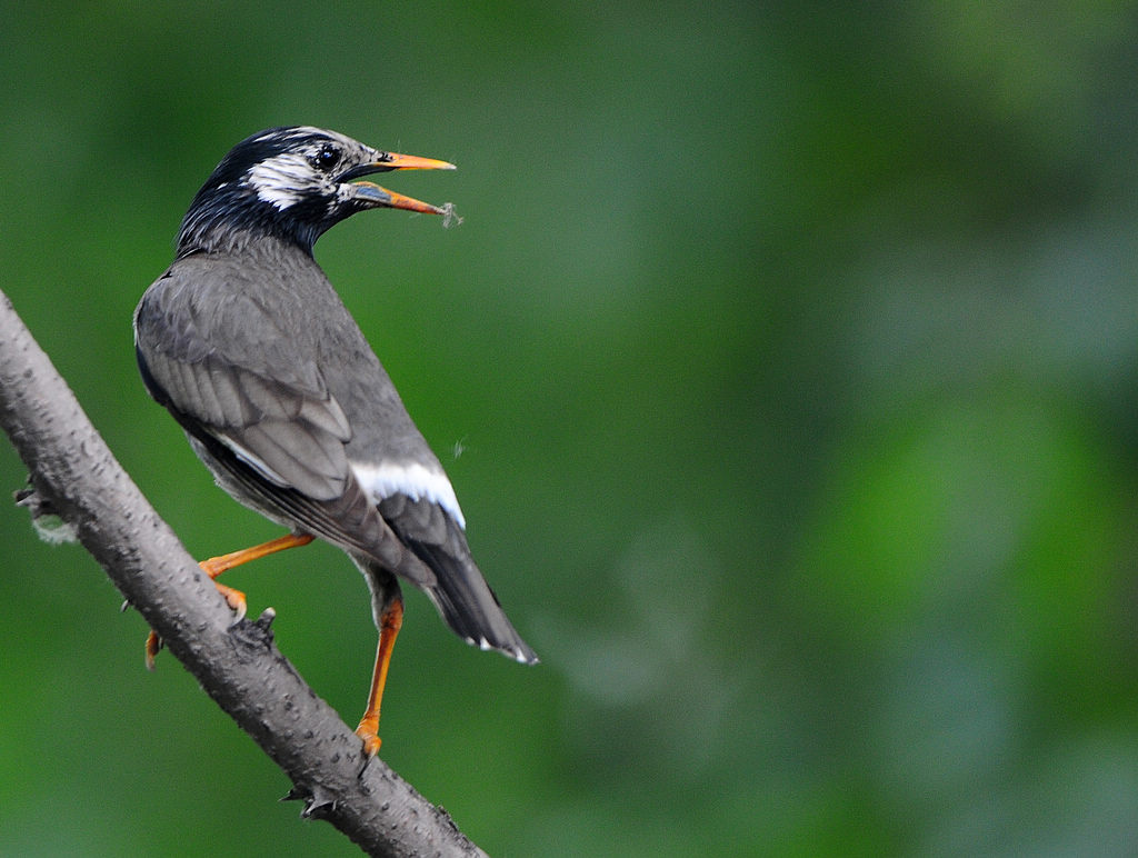 3  �����6  1.jpg