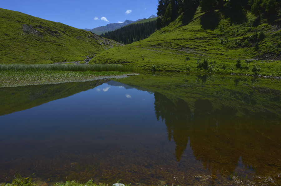 ʥ�ࡢ���׵ĺ�