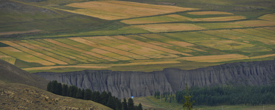 ��ɽ���½��µ�����