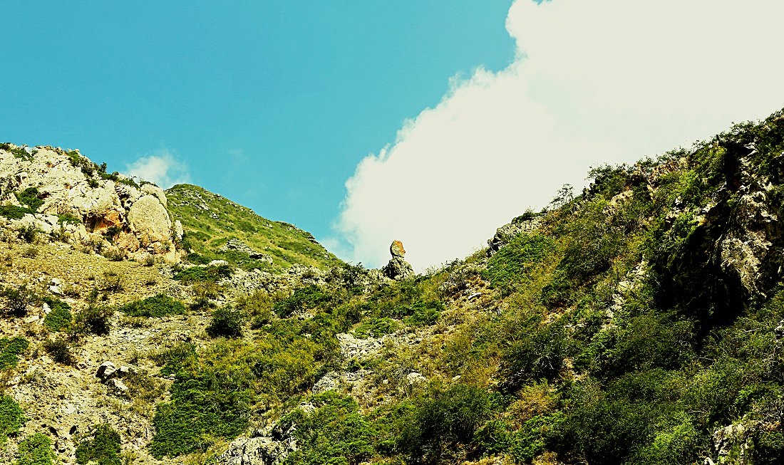 ������ 1502-2Qa.jpg