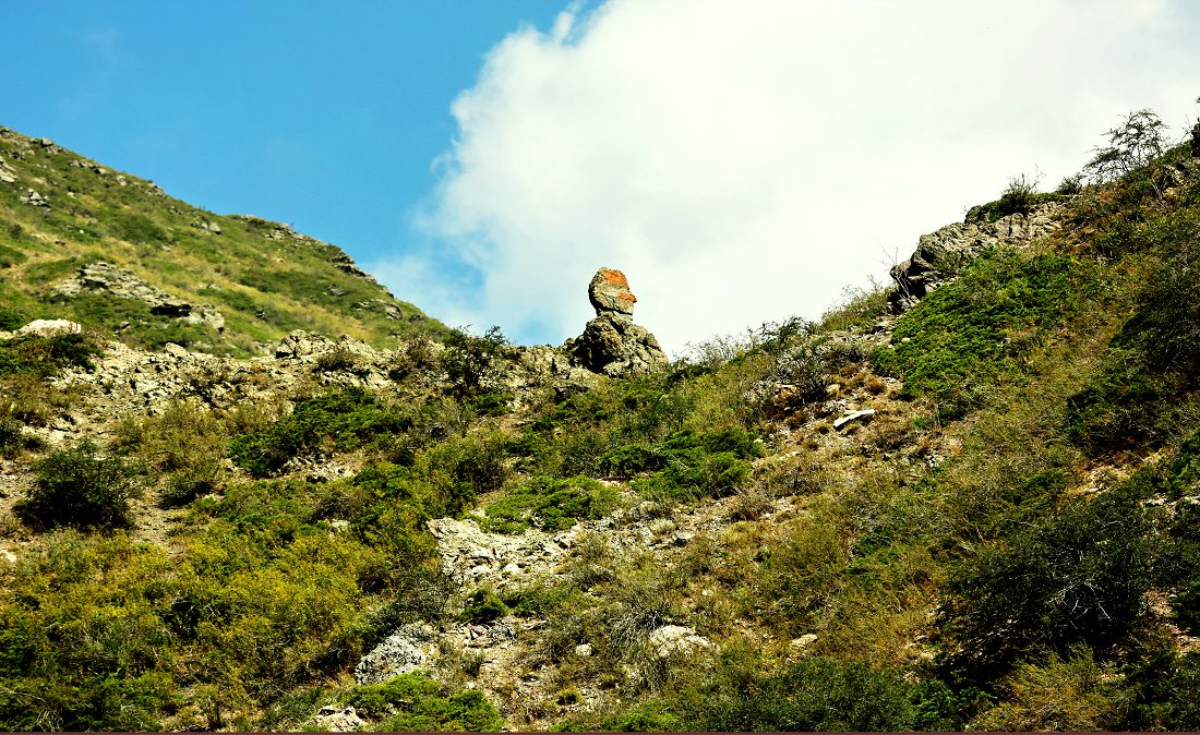 ������ 1501-1.jpg