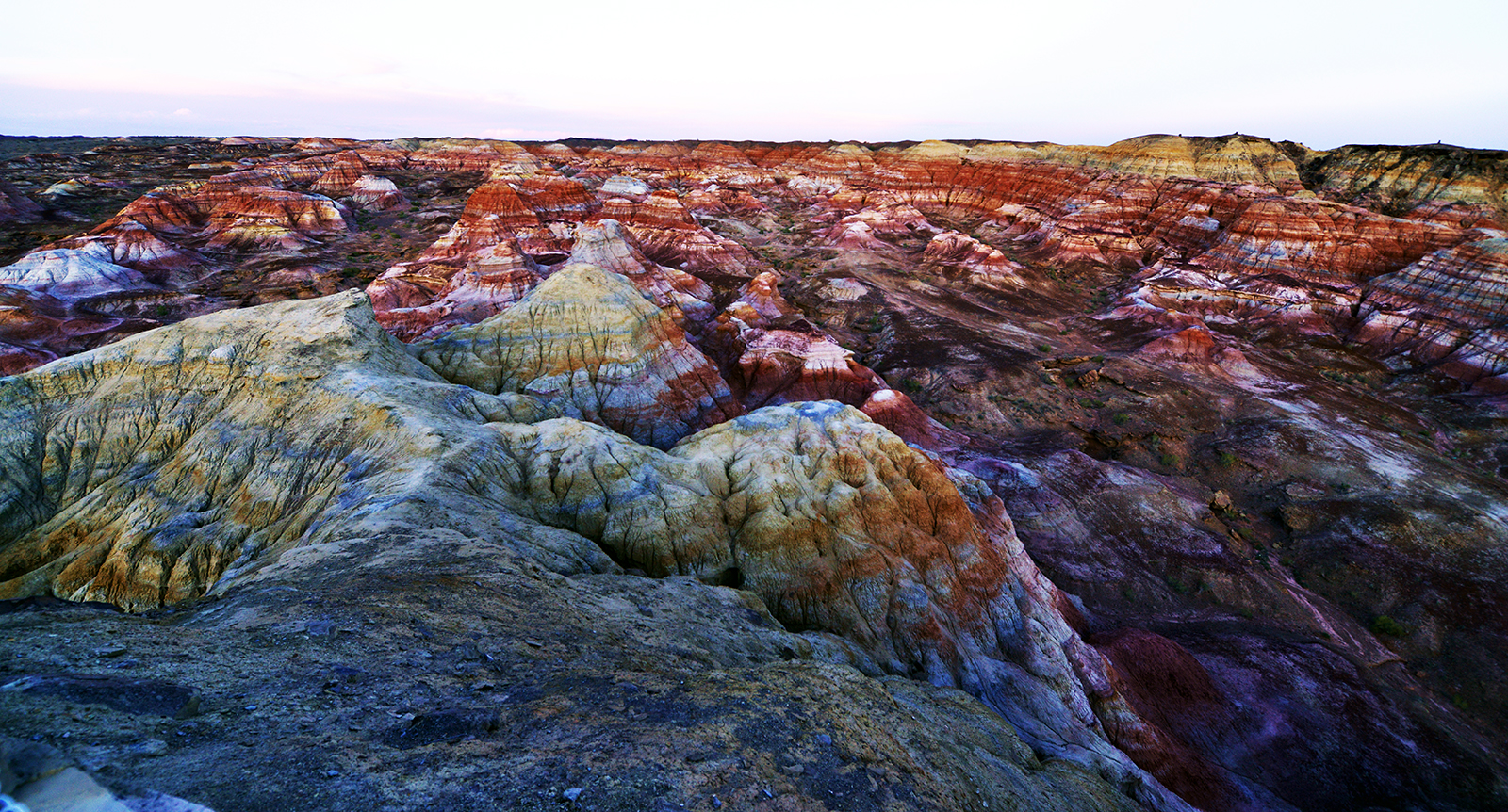 _DSC8955 - ��������.jpg