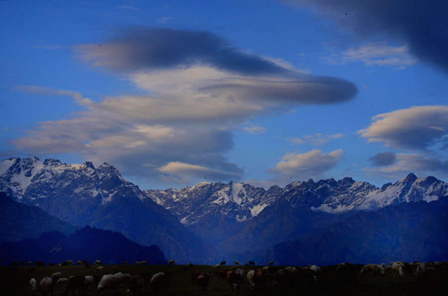 ������ɽ������Ѽ