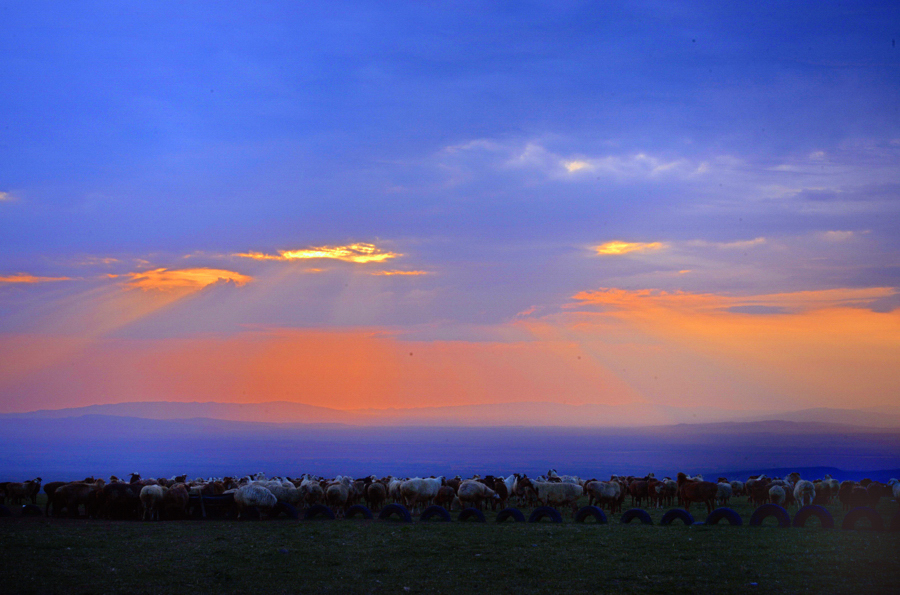 ůů�������Ҹ�����