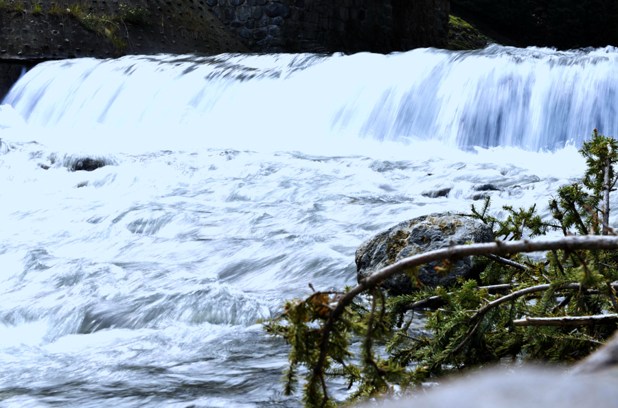 ����С�ٻ�����