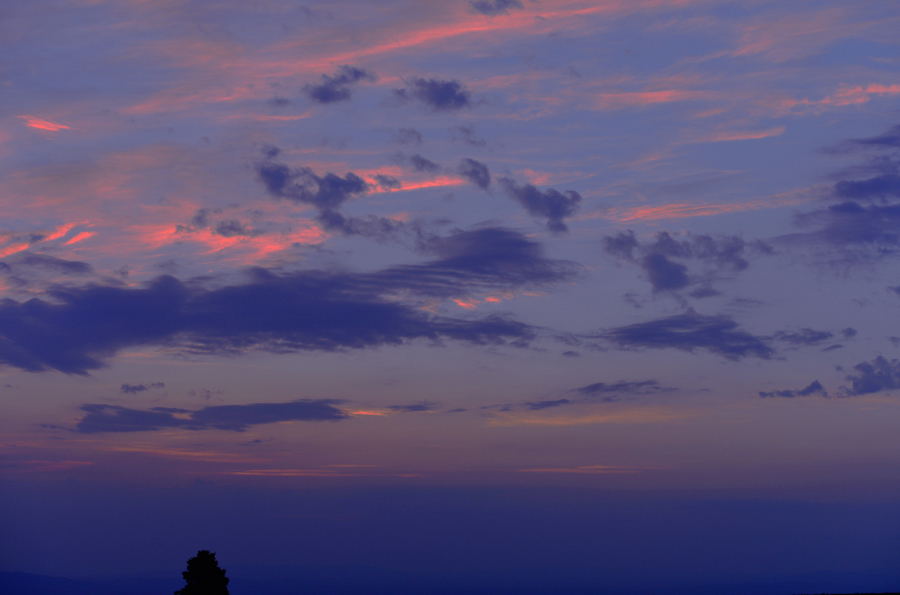 ���Ʈ����ʵ���