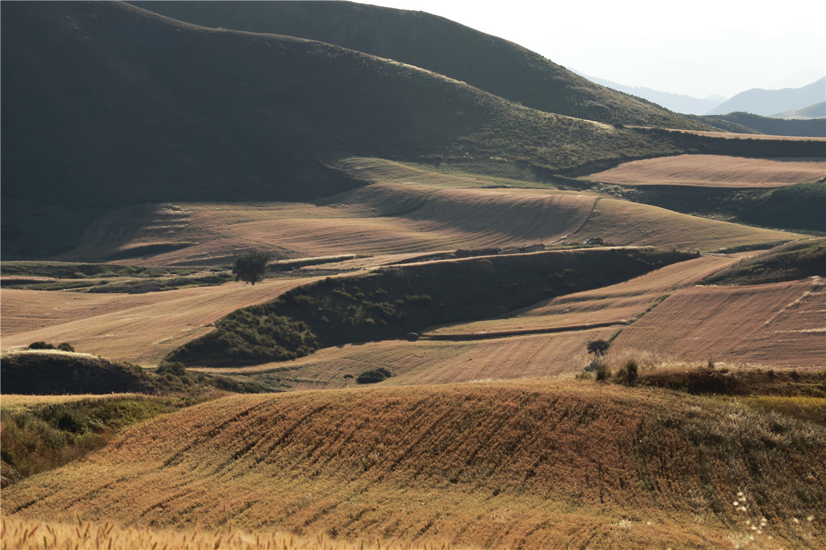 �������˷��1 (1).JPG