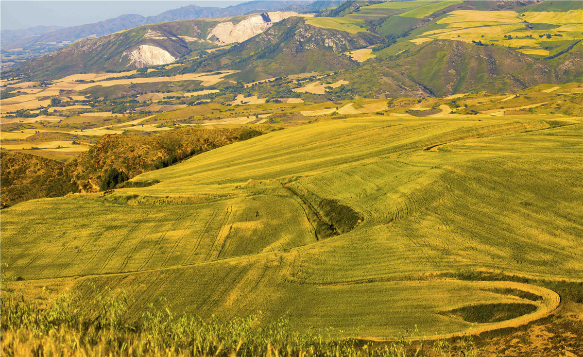 �������˷��1 (6).jpg