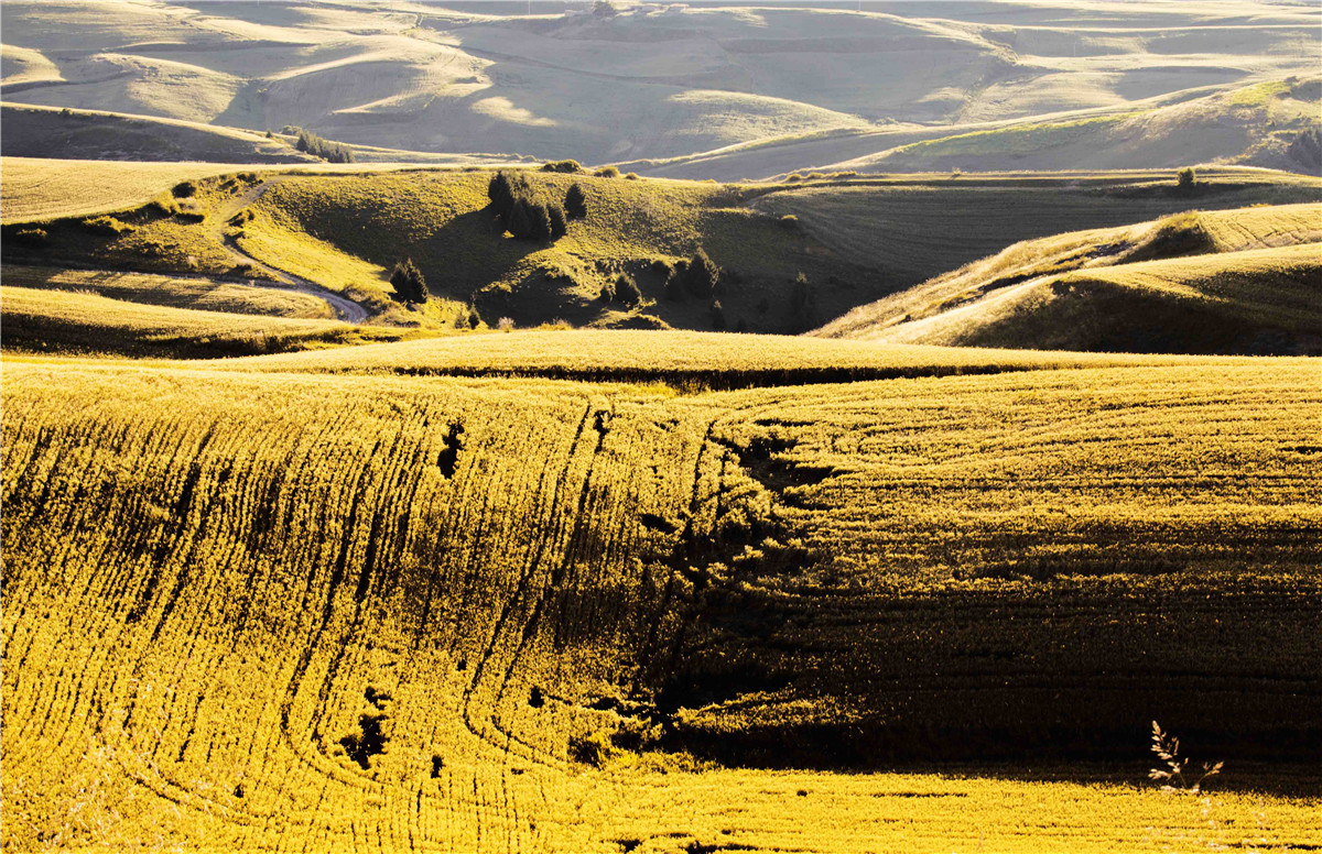 �������˷��1 (7).jpg