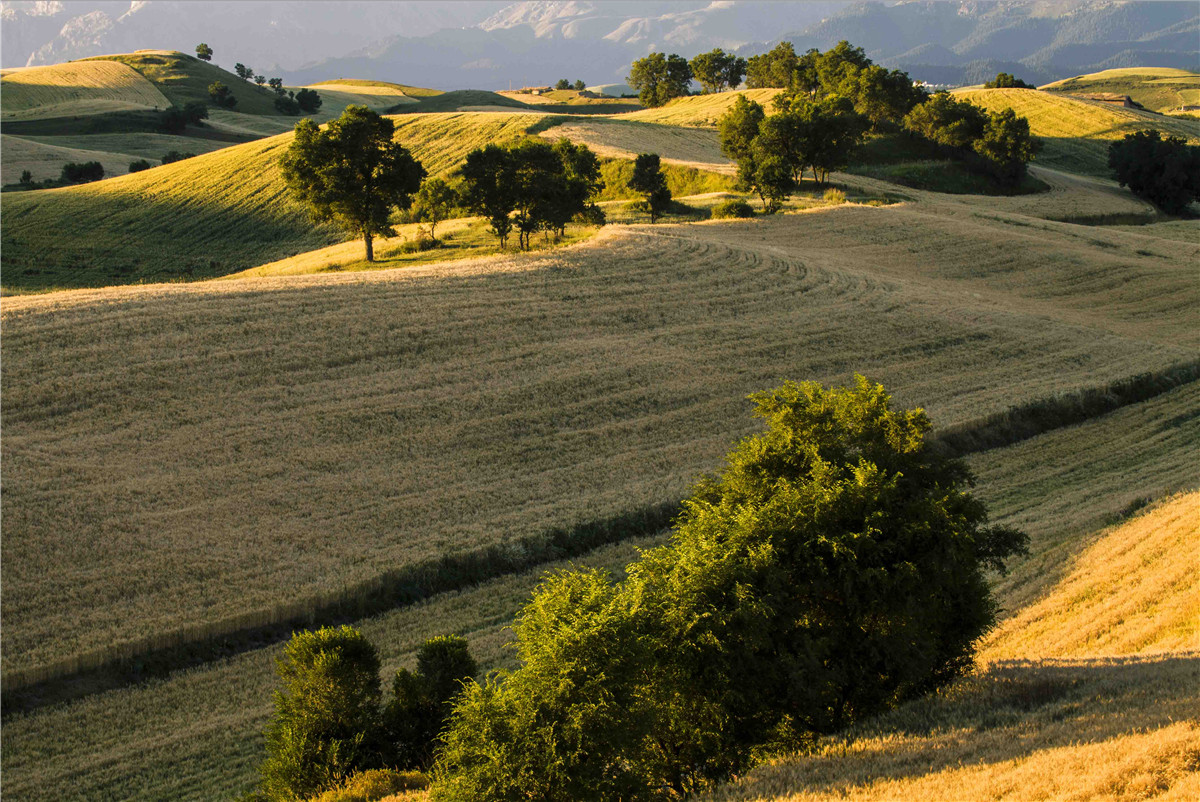 �������˷��1 (11).jpg