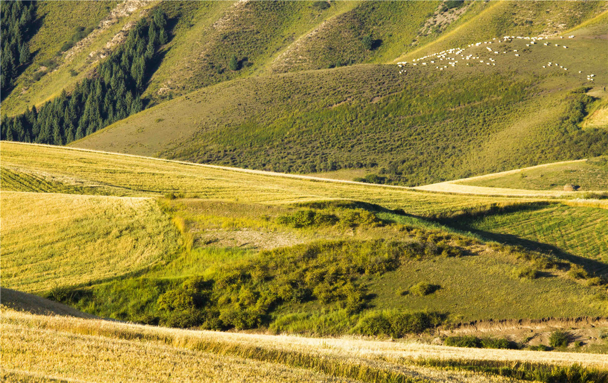 �������˷��1 (12).jpg