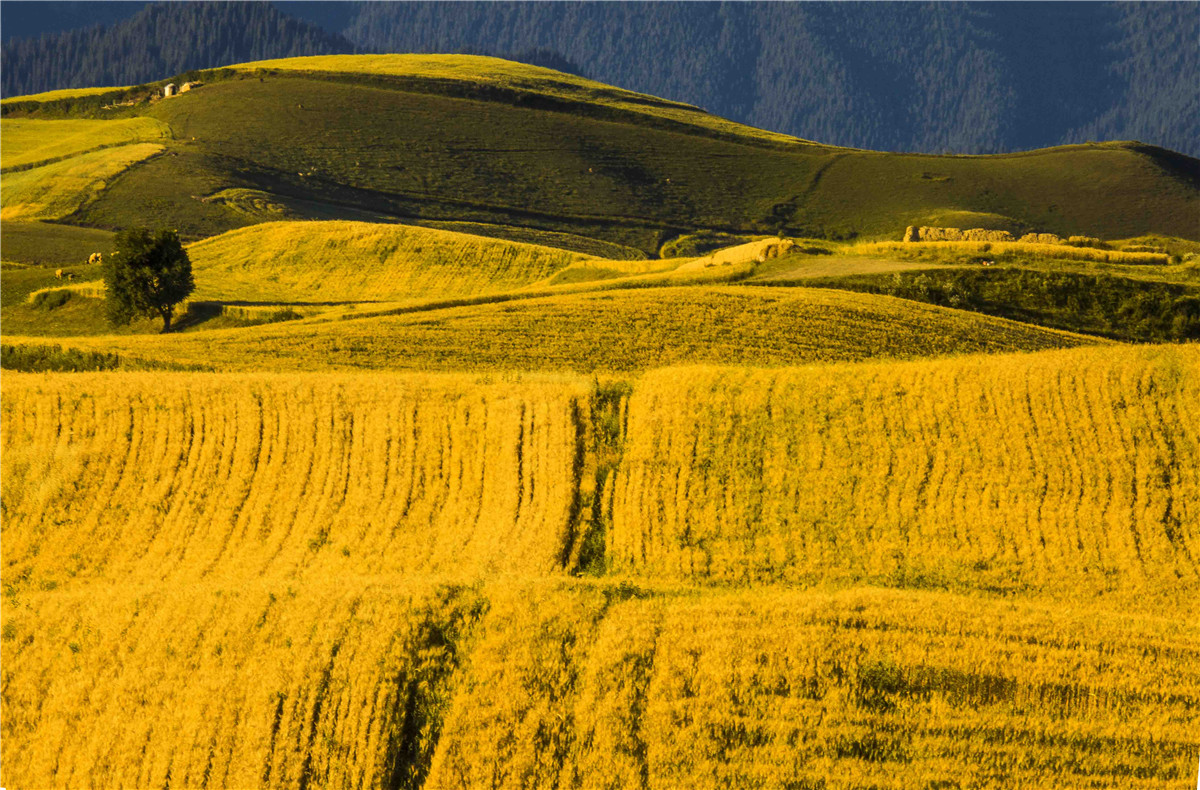 �������˷��1 (13).jpg