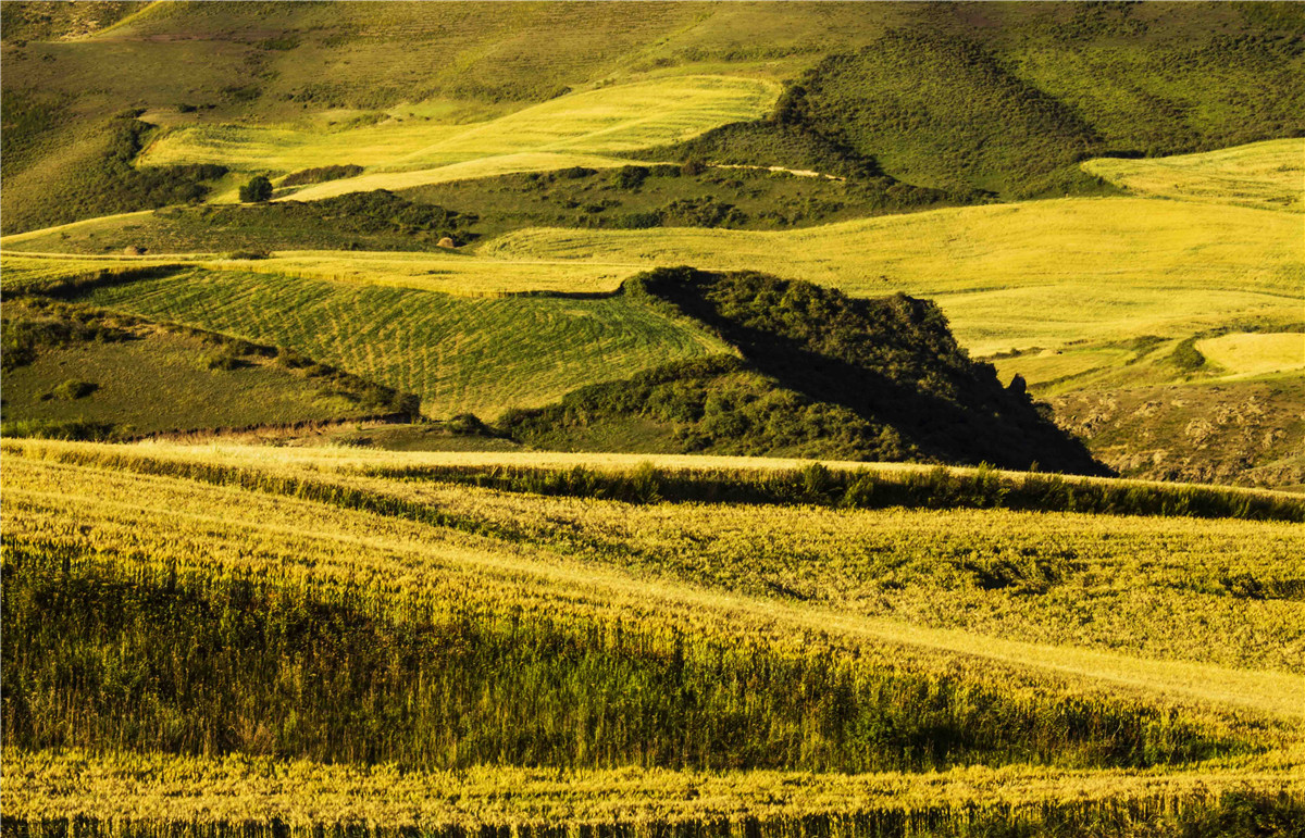 �������˷��1 (14).jpg