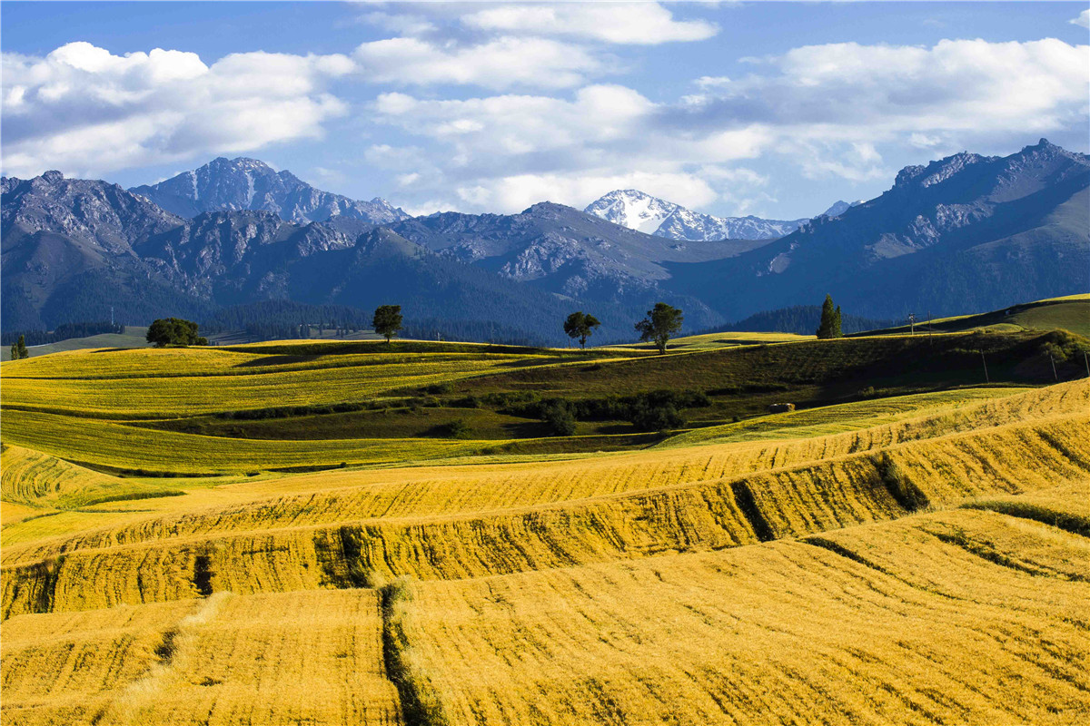 �������˷��1 (2).jpg