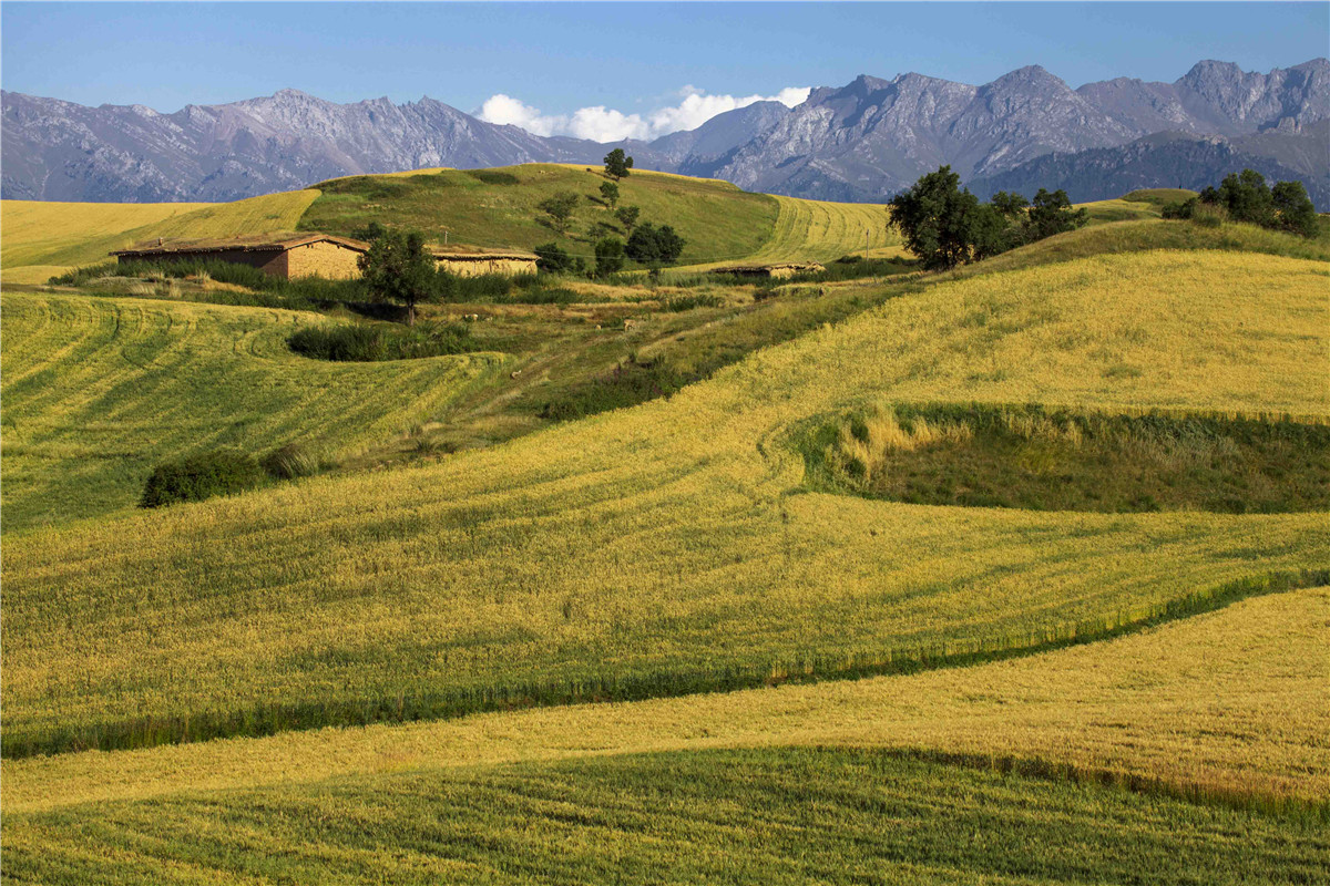 �������˷��1 (3).jpg