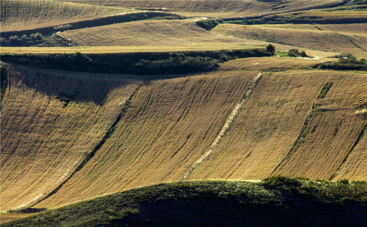 �������˷��1 (4).jpg