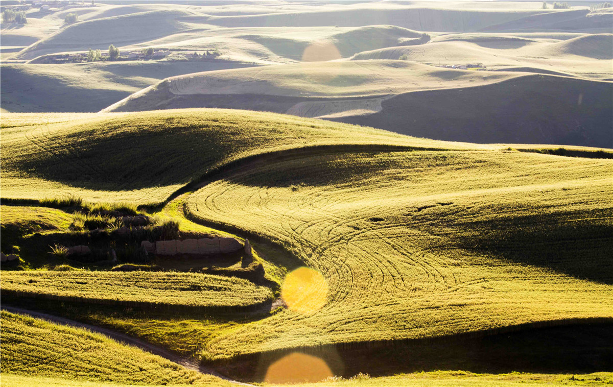 �������˷��1 (5).jpg